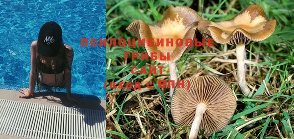 марки nbome Верея