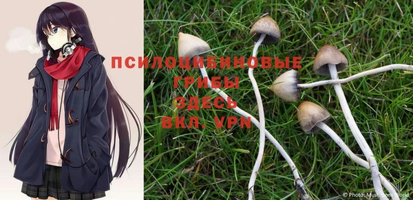 марки nbome Верея