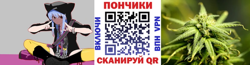 Марихуана планчик  Южно-Сухокумск 